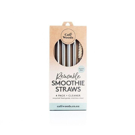 Stainless Steel Straws 4 Pack - Smoothie