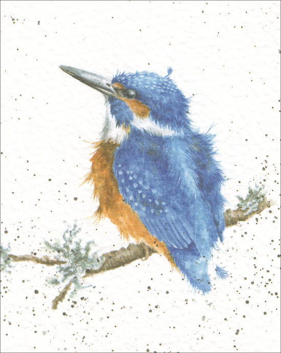 #stationery#gift#minicard#wrendale#kingfisher