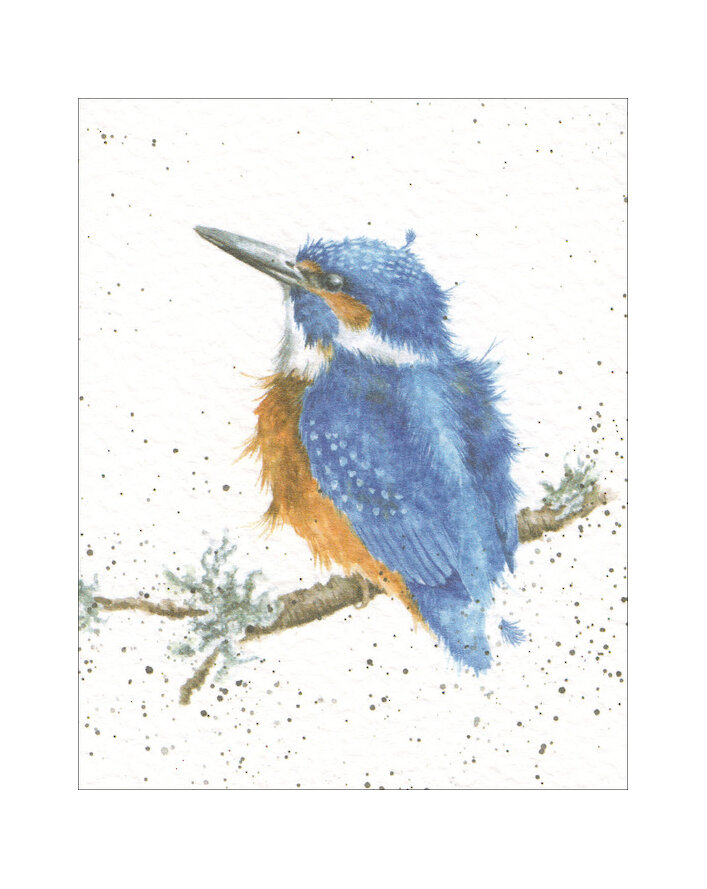 #stationery#gift#minicard#wrendale#kingfisher