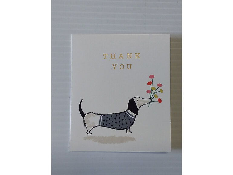 #stationery#writingpaper#cards#blank#dog#dachshund#sausagedog