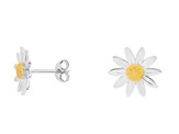 Sterling Silver, Gold Plated, NZ Daisies, Daisy Earrings