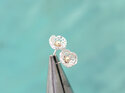 Sterling silver ocean flower sea solid 9k gold handmade studs lilygriffin nz