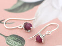 Sterling silver rosehips ruby july birthstone earrings lilygriffin nz jewellery
