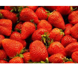 Strawberries Spray Free Local 3 Sizes