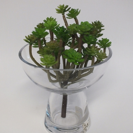 Succulent mini bush 4003