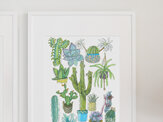 Succulents & Cacti