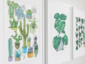 "Succulents & Cacti" Prints and Greeting cards
