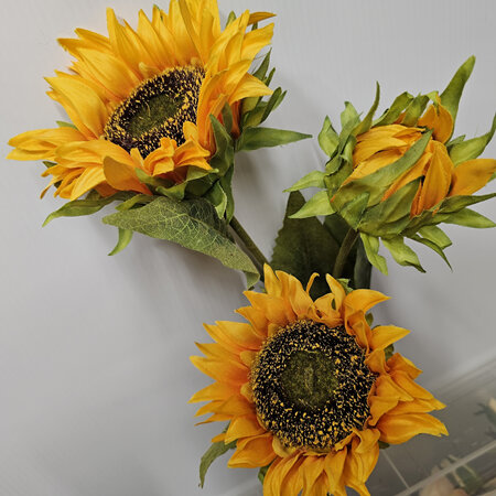 Sunflower bunch 3 blooms 4646