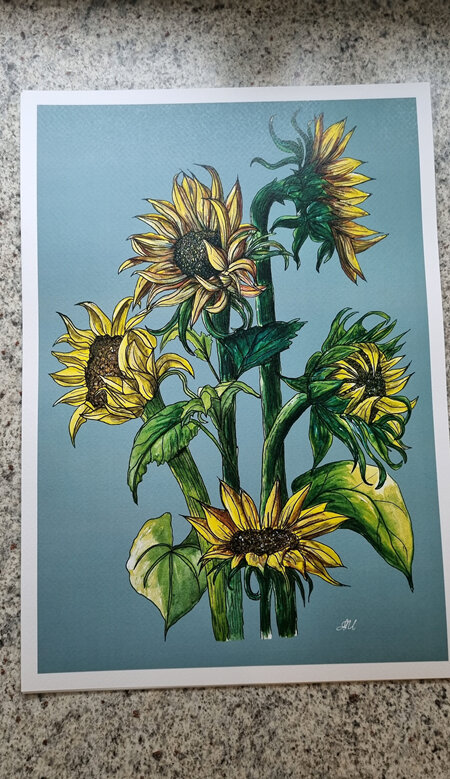 Sunflowers Colourway Print