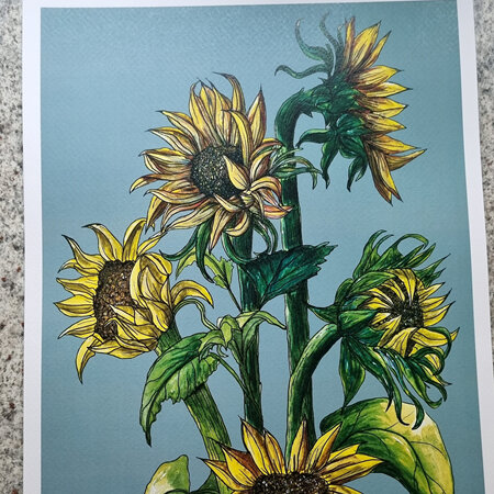 Sunflowers Colourway Print