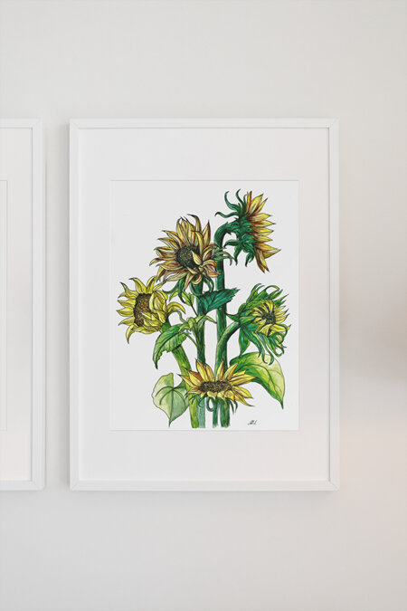 "Sunflowers" Prints and Greeting cards