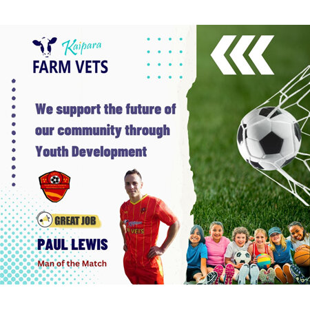Support to Youth Development