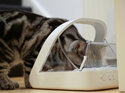 SureFeed® Microchip Pet Feeder