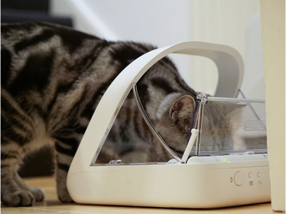 SureFeed® Microchip Pet Feeder