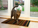 SureFlap® Microchip Cat Door