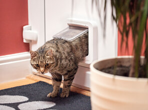 SureFlap® Microchip Cat Door