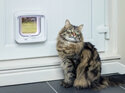 SureFlap® Microchip Cat Door Connect