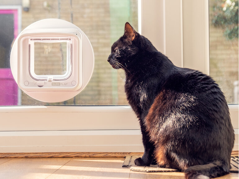 SureFlap® Microchip Cat Door Connect