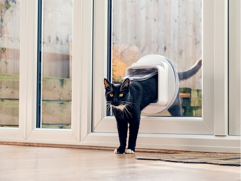 SureFlap® Microchip Cat Door Connect