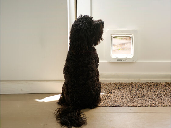 SureFlap® Microchip Pet Door