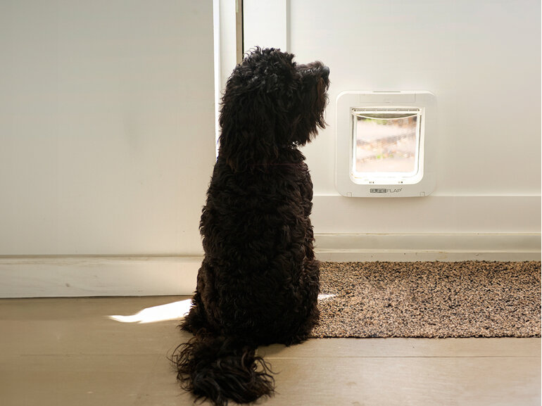 SureFlap® Microchip Pet Door