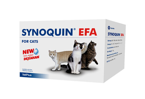 Synoquin EFA Capsule Cat 30