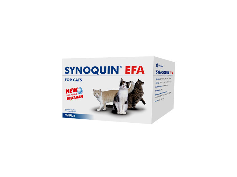 Synoquin EFA Capsule Cat 30