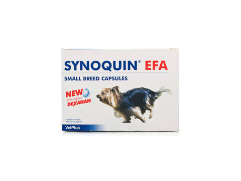 Synoquin EFA Capsule Dog 30