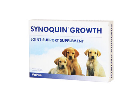 Synoquin Tablet Puppy 60