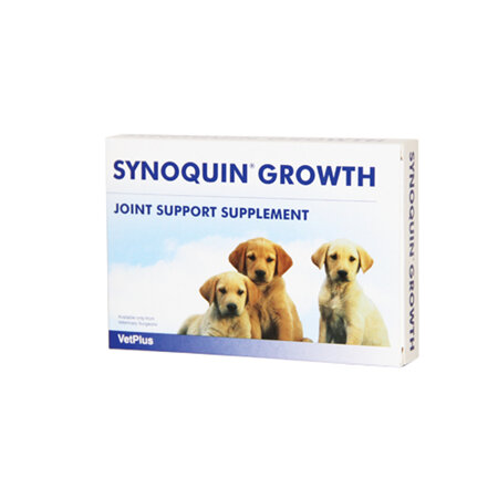 Synoquin Tablet Puppy 60