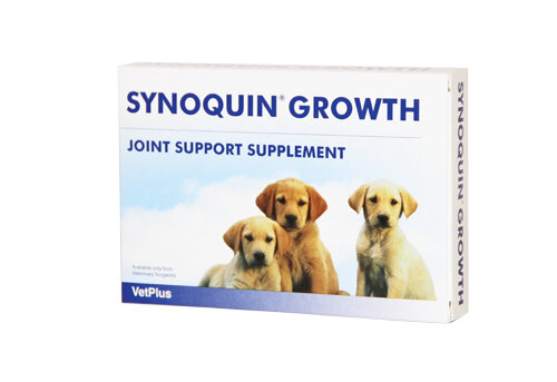 Synoquin Tablet Puppy 60