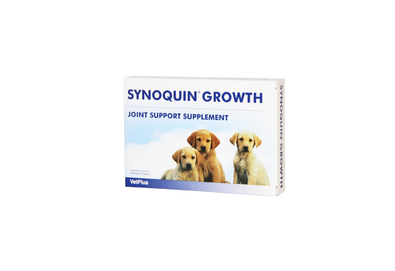 Synoquin Tablet Puppy 60