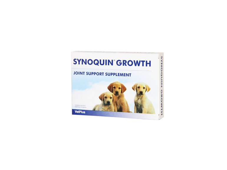 Synoquin Tablet Puppy 60