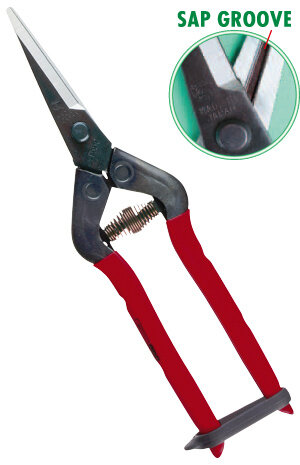 T-55c Secateurs - for harvesting and pruning grapes