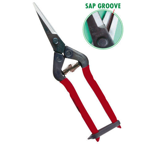 T-55c Secateurs - for harvesting and pruning grapes