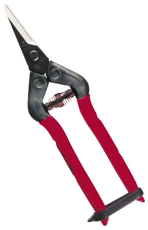 T-5c Secateurs - for harvesting tomatoes