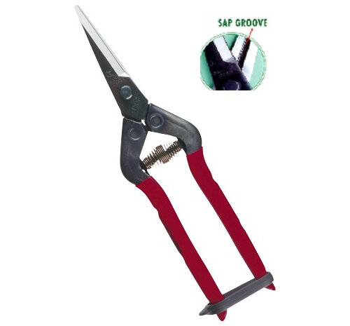 T-7c Secateurs - for onions and garlic