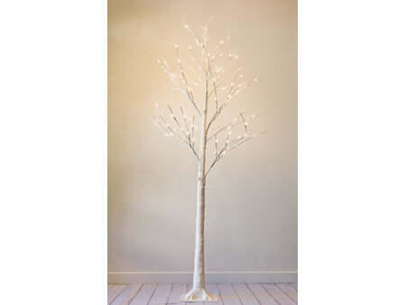 Tall White WW Birch LED Tree 180cm