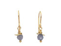 Tanzanite solid gold rosehip earrings december birthstone lilygriffin nz