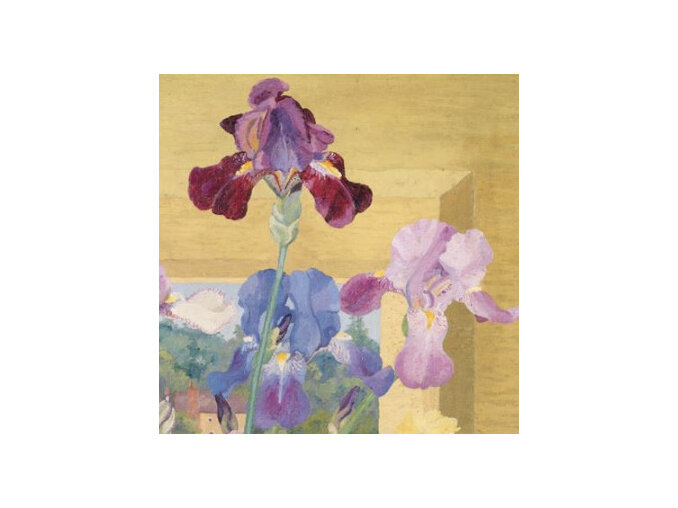 Tate London Iris Seedlings by Sir Cedric Morris Card flowers