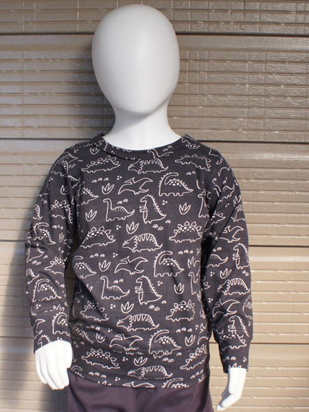'Taylor' Winter Top, certified organic cotton knit, "Dinos", 2 years