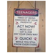Teenagers Tin Sign