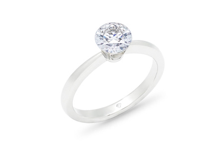 The Floeting Diamond Ring