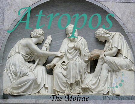 The Moirae - Atropos