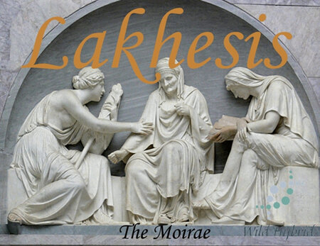 The Moirae - Lakhesis