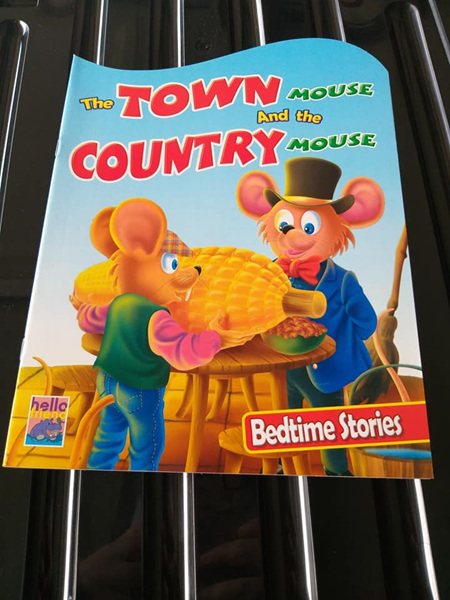The Town Mouse and The Country Mouse Bedtime Story Book