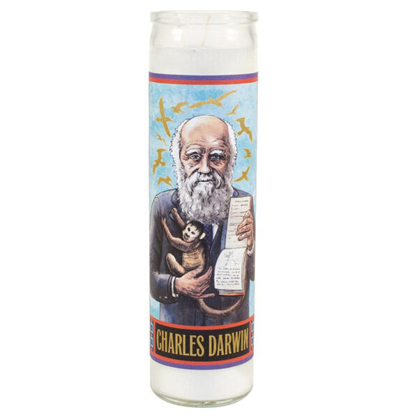 The Unemployed Philosophers Guild Secular Saints Candle Charles Darwin
