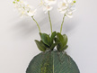 Three Phalaenopsis in a Lotus Leaf Vase 2154