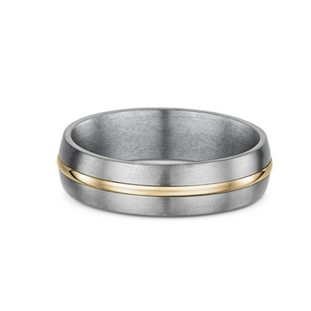 Titanium and 9ct Gold Mens Wedding Ring