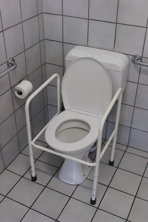 toilet seat surround